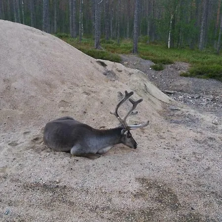 Kuerkaltio A1 Apartment *