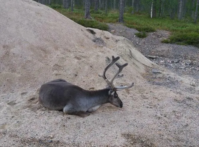 Kuerkaltio A1 Apartament *